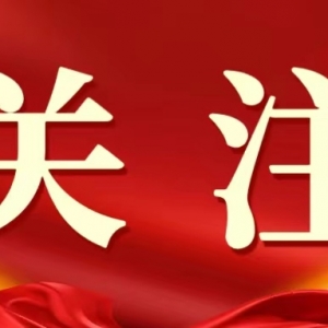 2024世界机器人大赛总决赛赛事内容全揭秘