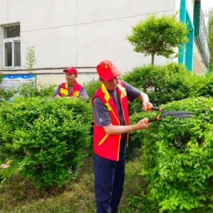 漯河市源汇区大刘镇：“两小一大”为抓手，环境整治大提升