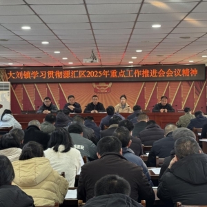 漯河市源汇区大刘镇学习贯彻源汇区2025年重点工作推进会会议精神