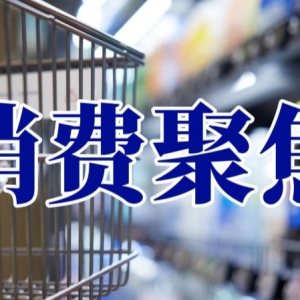 中办国办印发《提振消费专项行动方案》