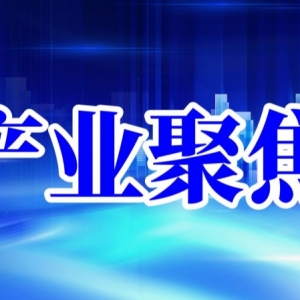 链动医疗 融通未来—2025河南医疗健康产业高质量发展暨供应链金融大会成功召开
