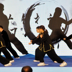 漯河市首届非遗展演年活动启动仪式举行
