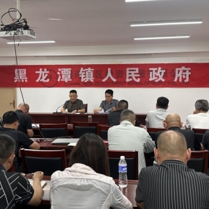漯河市城乡一体化示范区黑龙潭镇召开党建引领基层高效能治理工作专题培训班