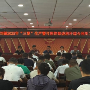 漯河市源汇区大刘镇召开“三夏”生产暨可燃物禁烧和秸秆综合利用工作会议