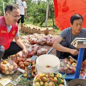 爱心接力再启程，河南省漯河市政协助农同心行