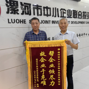 河南漯河：一场起死回生的“民企救援”