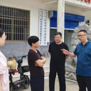 漯河市源汇区大刘镇：奏响基层治理“奋进曲”，绘就乡村振兴“锦绣图”