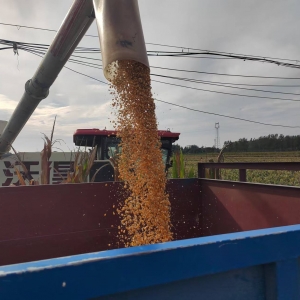 河南漯河：多措并举 筑牢“三秋” 生产与禁烧“防火墙”