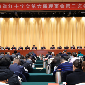 喜报！漯河市红十字会荣获省级表彰，多项工作获全省点名表扬！