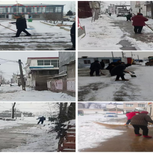 源汇区大刘镇：除雪映初心