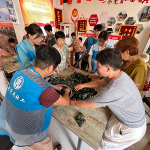 漯河市示范区黑龙潭镇：端午敬老暖民心