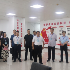 河南临颍：政治协商赋能高质量发展